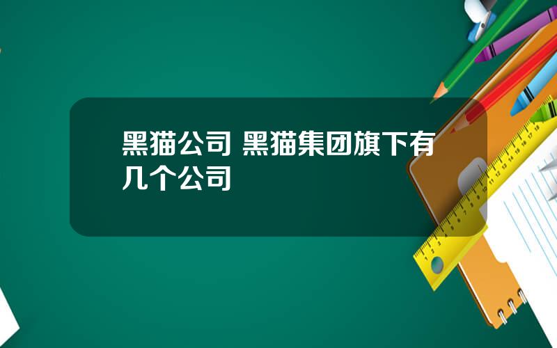 黑猫公司 黑猫集团旗下有几个公司